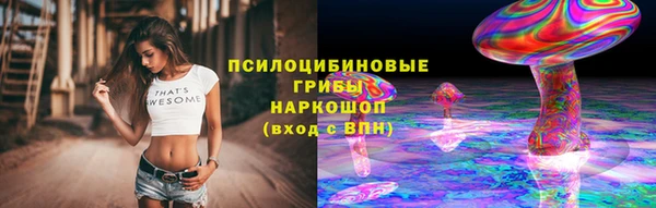 Альфа ПВП Михайлов