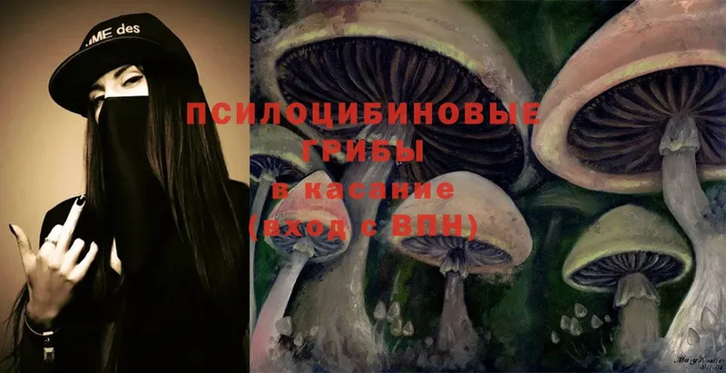 Псилоцибиновые грибы Magic Shrooms  Шахты 