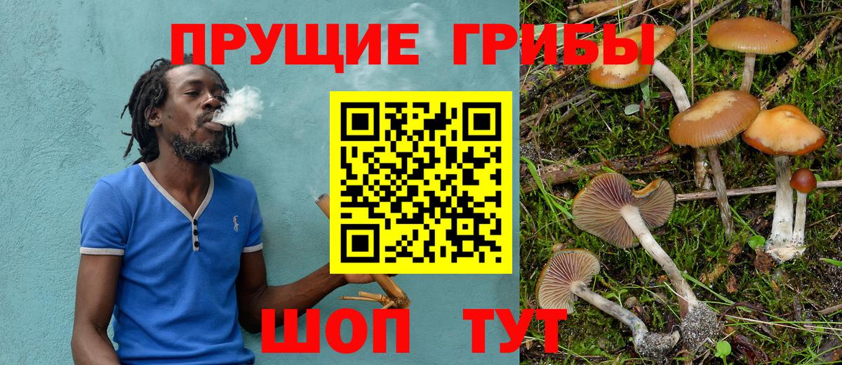 ГАШИШ Шахты