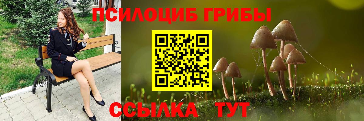 Галлюциногенные грибы Cubensis  Вход с VPN  Шахты  Галлюциногенные грибы мухоморы 